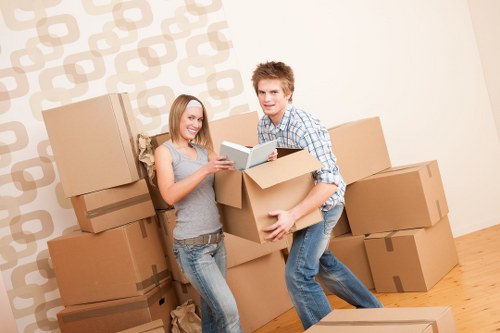 Selection of strong cardboard boxes and wrapping materials for moving